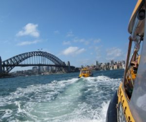 Amazing Race Sydney Harbor Water Taxi Crossings to Luna Park by Boats